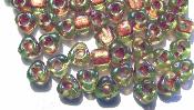 SeedBeadsSize8